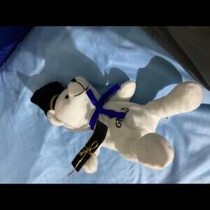 Graduation bears